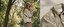 A woman stands outdoors in a sunlit forest wearing a light beige patterned button-up shirt jacket, shown alongside a close-up of the same garment laid flat on a textured surface. The collar label reads ABeLINEE